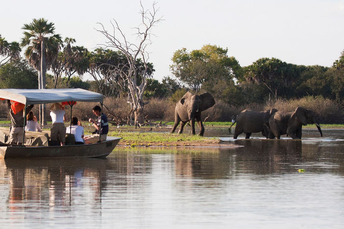 9 Days Safari Mikumi, Ruaha and Selous (Nyerere National Park)