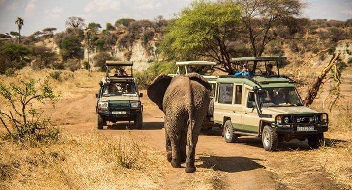 Group Tour Tanzania