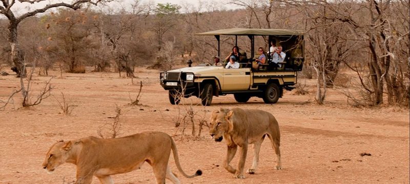 Selous Mikumi Safari